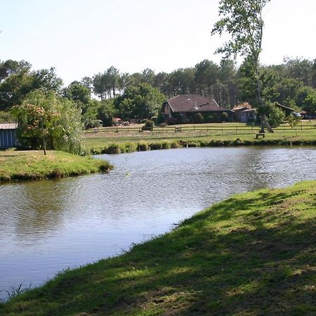 Gite 4Kms Plage Grand Domaine Prive Lacs Natura 2000 Lit-et-Mixe Exterior photo