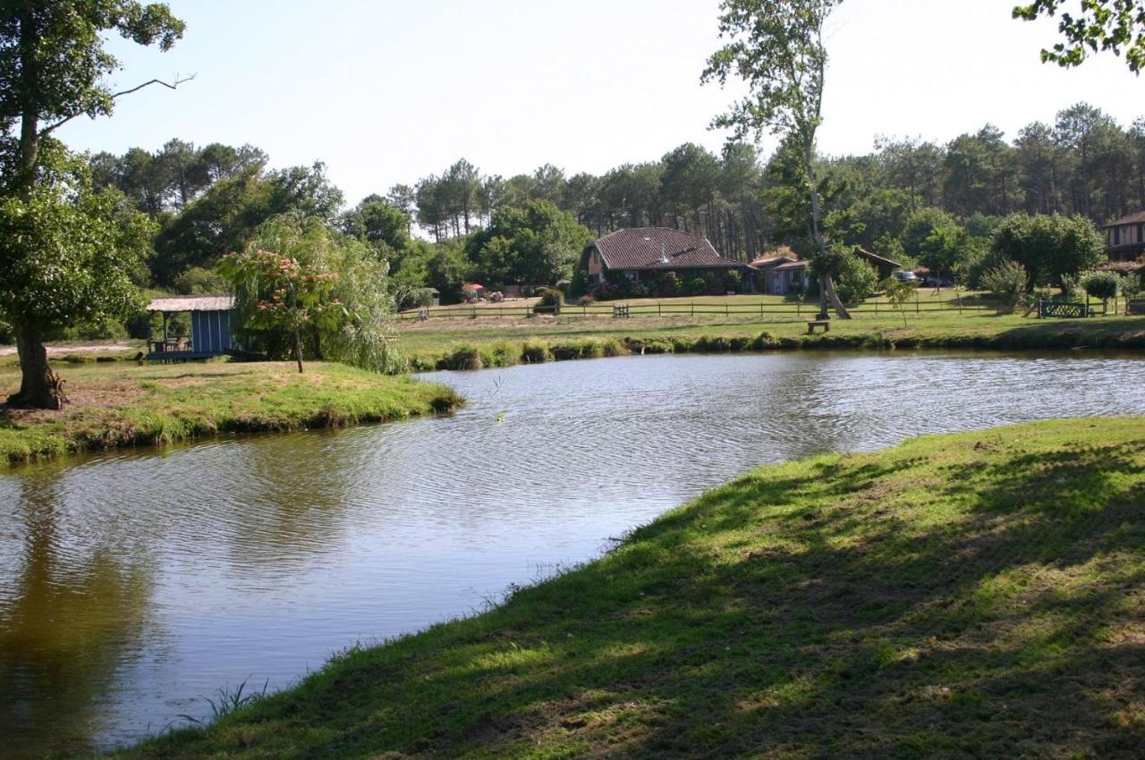 Gite 4Kms Plage Grand Domaine Prive Lacs Natura 2000 Lit-et-Mixe Exterior photo